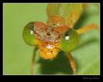 DSC_6898a