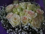 IMG_0420