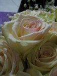 IMG_0431