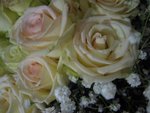 IMG_0436
