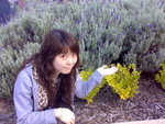 20070426113