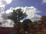 20070426099
