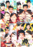 stic_hin
