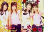 FD~BEE BEE