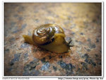 DSCF0079