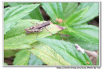 DSCF0648