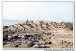 DSCF1837a