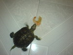 DSC00167