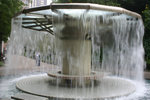865_6528