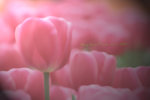 IMG_4123-23
