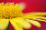 IMG_5723-23