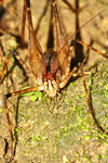 IMG_0175-75