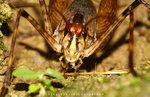 IMG_0184-84