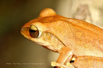 IMG_0188-88