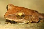 IMG_0204-04