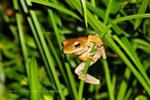 IMG_0211-11