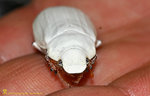 

IMG_1205-05