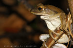 IMG_8880-80