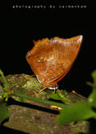 IMG_8899-99