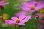IMG_5791-91