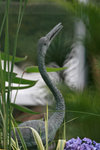 IMG_5861-61