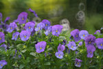 IMG_5870-70