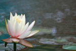 IMG_5935-35