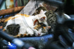 IMG_3799-99