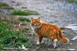 IMG_3811-11