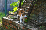 IMG_7116-16