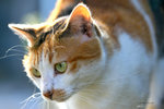 IMG_7120-20