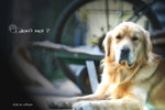 IMG_9553-53