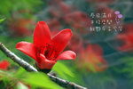 IMG_6609-09