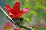 IMG_6618-18