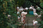 IMG_6641-41