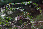 IMG_6705-05