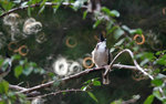 IMG_6711-11
