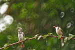 IMG_7990-00