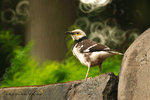 IMG_8041-41