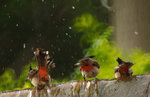 IMG_8048-48