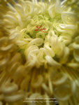 DSC02025-25