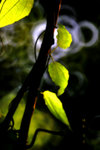 IMG_1871-71
