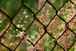 IMG_3189-89