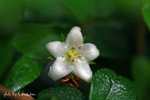 IMG_4958-58