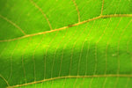 IMG_9103-03