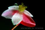 IMG_5853-53