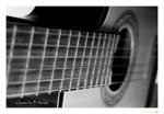 IMG_5803-03