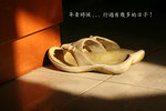 
IMG_5326-aa