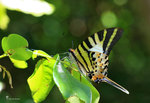 


IMG_6149-49