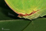 
IMG_2130-30
